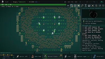 Caves of Qud - Nintendo Switch 2 (PRE-ORDER)