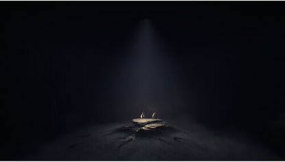 REANIMAL - Xbox Series X (PRE-ORDER)