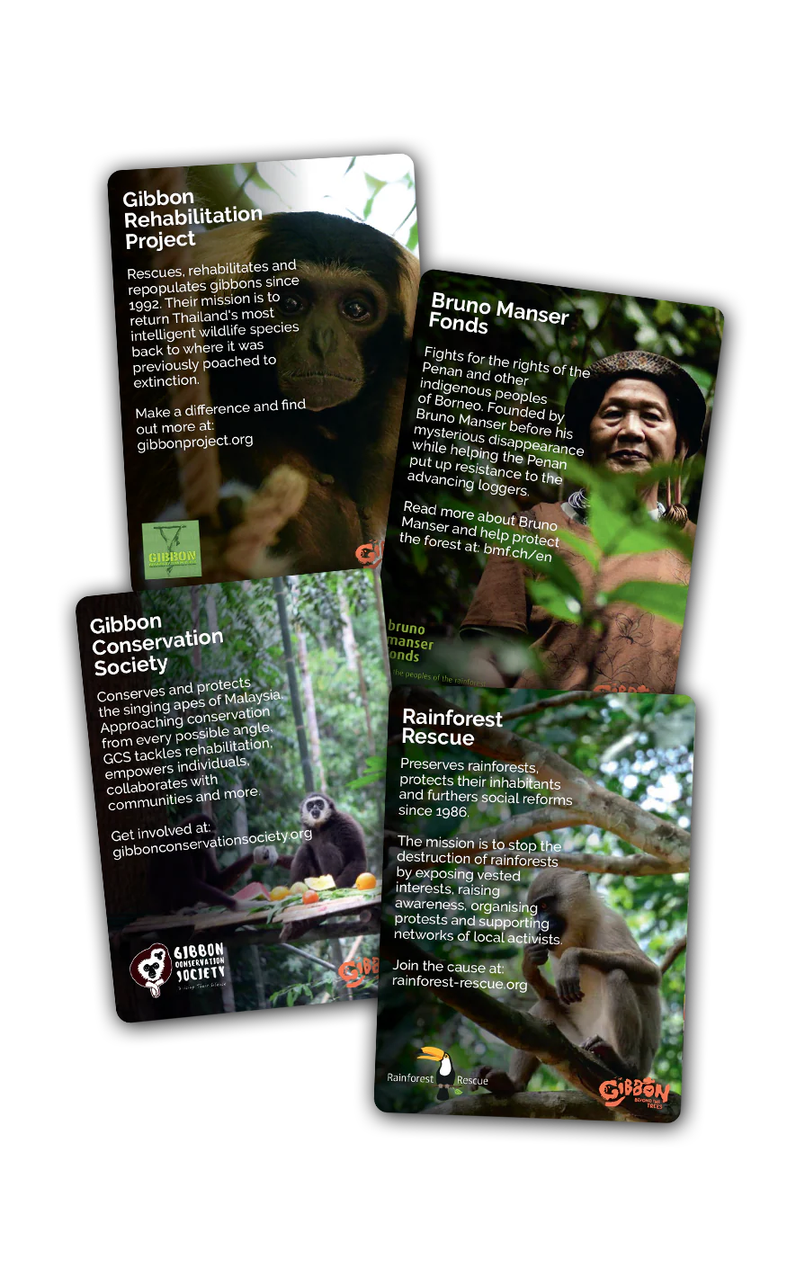 Gibbon: Beyond the Trees [SRG #121] - Nintendo Switch [EU IMPORT]