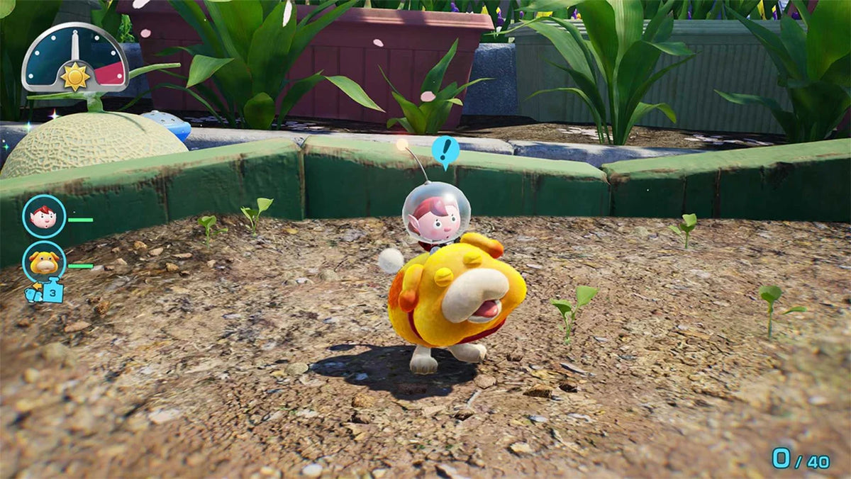 Pikmin 4 + Dandori Academy - Nintendo Switch 2 Edition (PRE-ORDER)