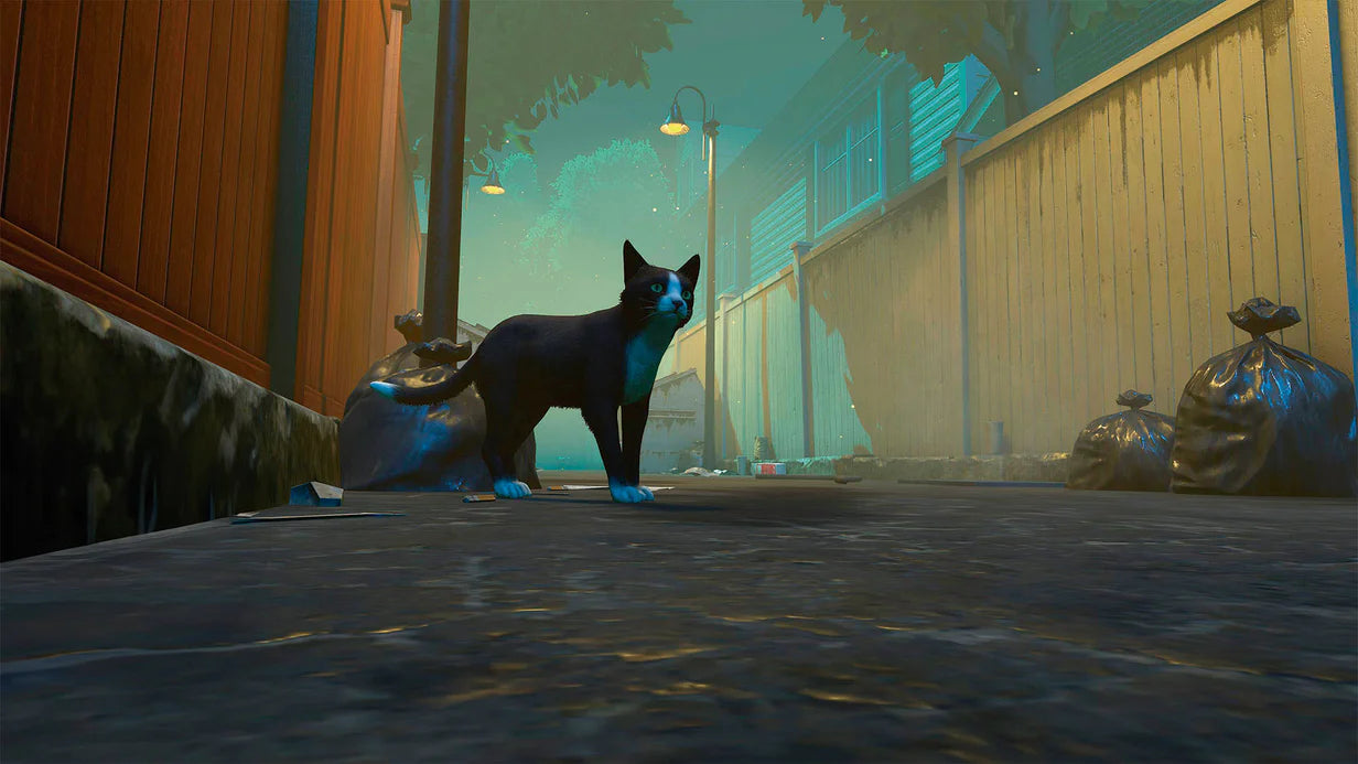 Copycat - PlayStation 5 [EU IMPORT] (Backorder Expected Late January)