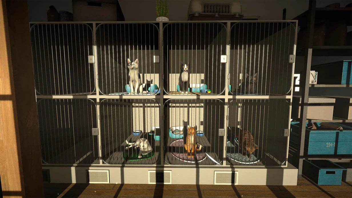 Copycat - PlayStation 5 [EU IMPORT] (Backorder Expected Late January)