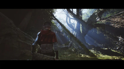 1348 Ex Voto - PlayStation 5 (PRE-ORDER)