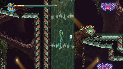 9 Years of Shadows [EU Import] [Collector's Edition] - PlayStation 5 (FREE USA SHIPPING)